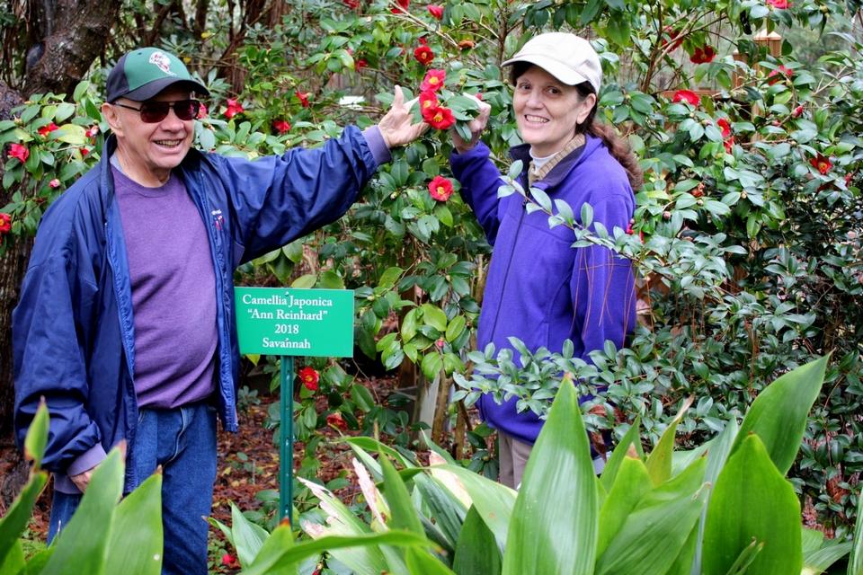 Looking for Pearls: Camellias a beautiful discovery at Savannah Botanical Gardens